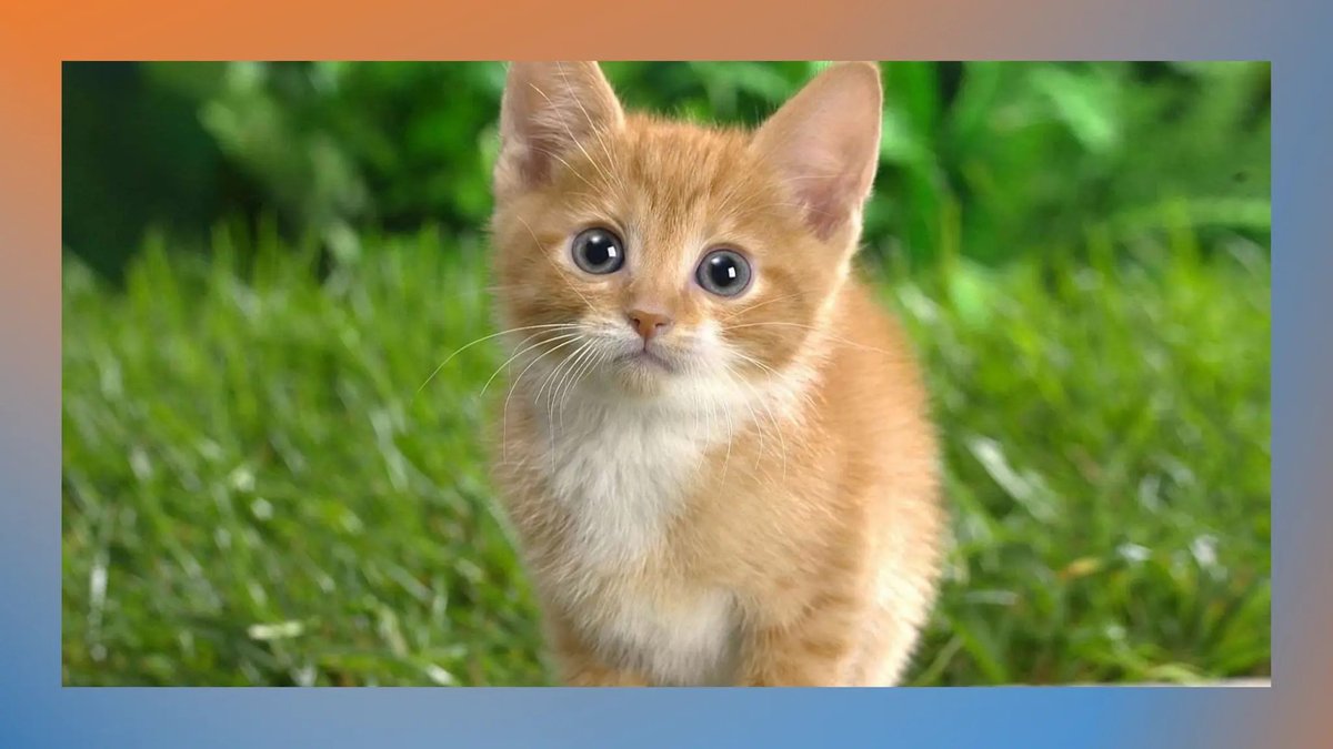 Beyond Alliteration, Master Consonance, Assonance, And Sibilance In Writing